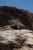 DSC_1321.jpeg